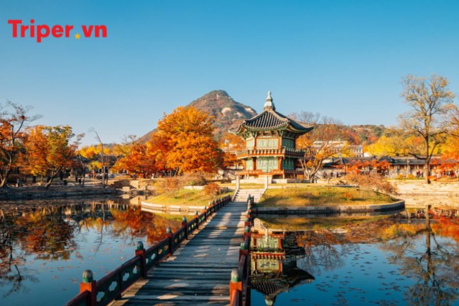 Hàn Quốc Khám phá Busan, Seoul, Đảo Nami, Làng Gamcheon, và Thư viện Suwon, Tàu KTX
