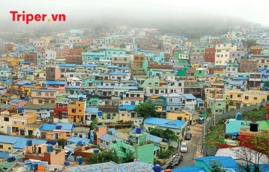 Hàn Quốc: Khám phá Busan, Seoul, Đảo Nami, Làng Gamcheon, và Thư viện Suwon, Tàu KTX