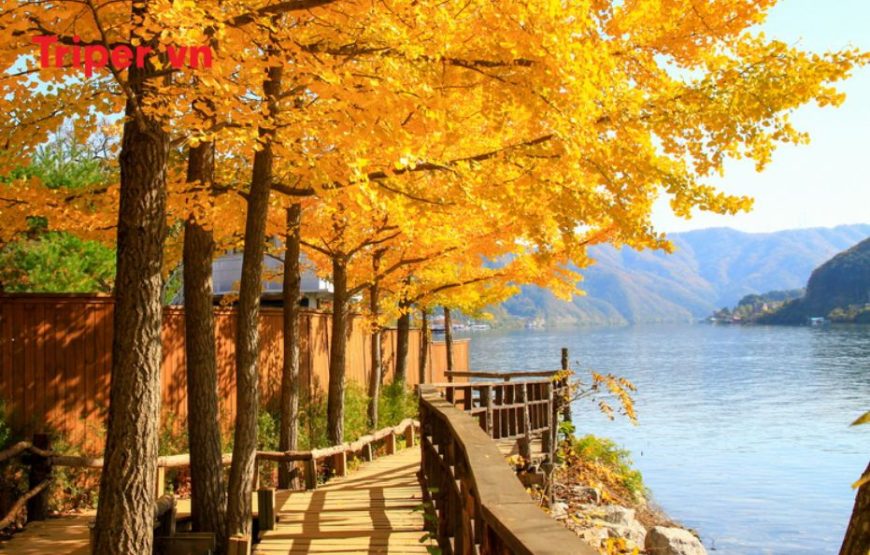 Hàn Quốc: Khám phá Busan, Seoul, Đảo Nami, Làng Gamcheon, và Thư viện Suwon, Tàu KTX