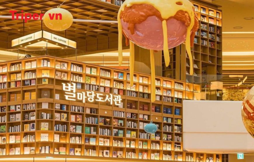 Hàn Quốc: Khám phá Busan, Seoul, Đảo Nami, Làng Gamcheon, và Thư viện Suwon, Tàu KTX