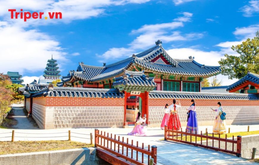 Hàn Quốc: Seoul – Đảo Nami – Công viên Everland – Panda World 5 ngày 4 đêm