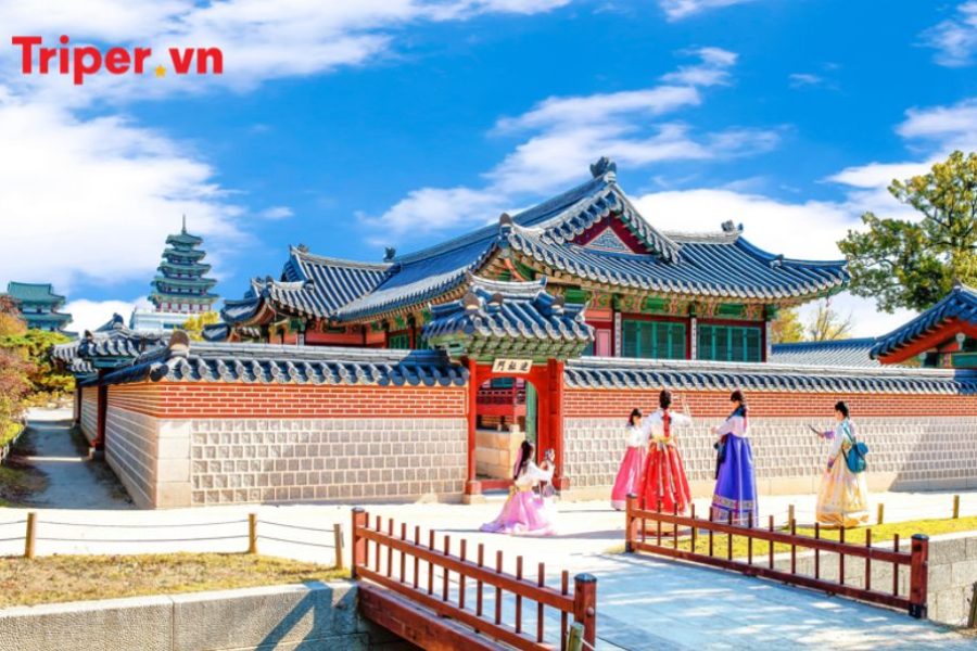 Hàn Quốc Seoul - Đảo Nami - Công viên Everland - Panda World