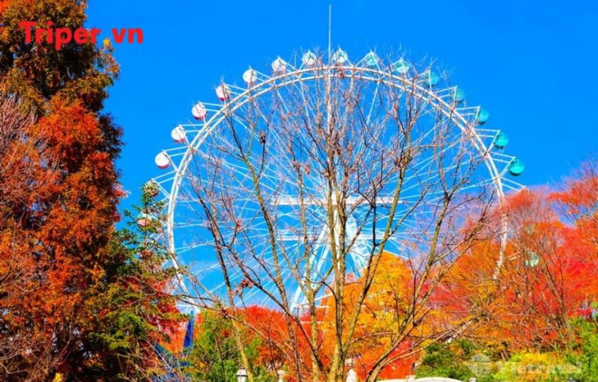 Hàn Quốc: Seoul – Đảo Nami – Công viên Everland – Panda World 5 ngày 4 đêm