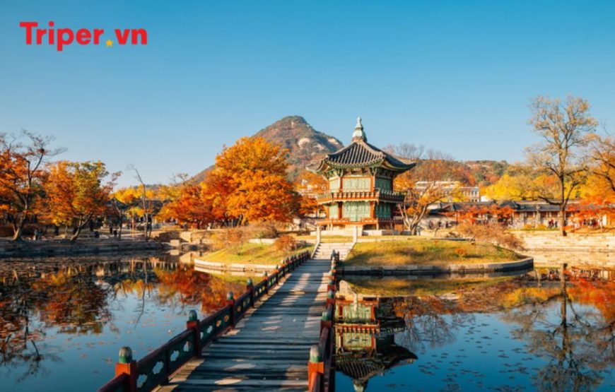 Hàn Quốc: Seoul – Đảo Nami – Công viên Everland – Panda World 5 ngày 4 đêm