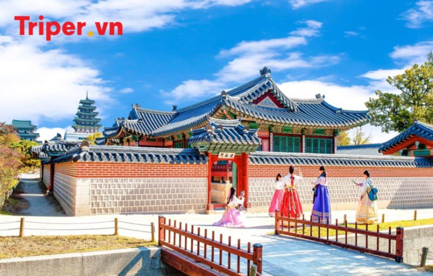 Hàn Quốc: Seoul – Đảo Nami – Công viên Lotte World 4 ngày 3 đêm