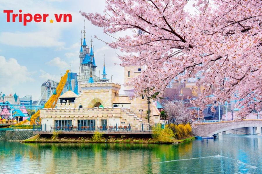 Hàn Quốc Seoul - Đảo Nami - Công viên Lotte World