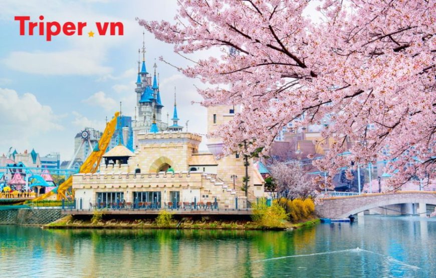 Hàn Quốc: Seoul – Đảo Nami – Công viên Lotte World 4 ngày 3 đêm