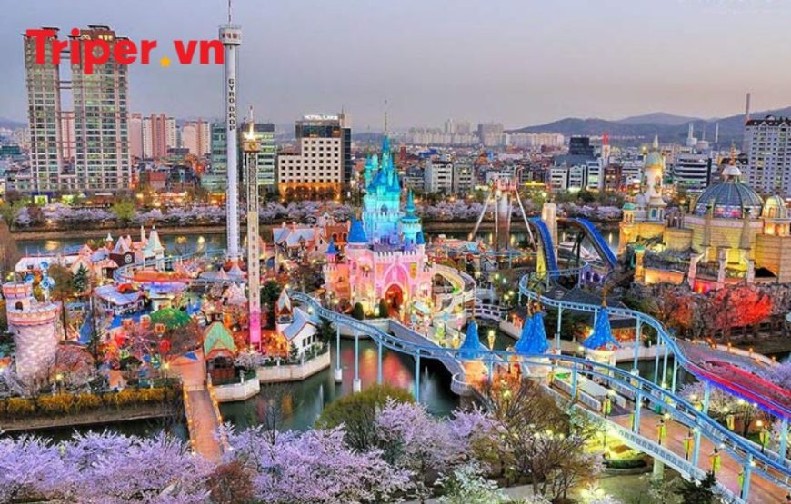 Hàn Quốc: Seoul – Đảo Nami – Công viên Lotte World 4 ngày 3 đêm