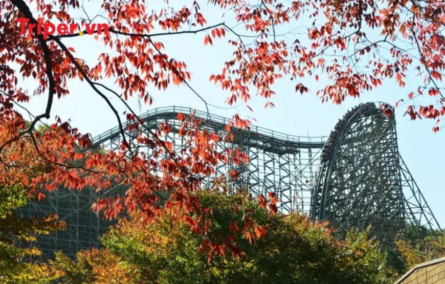 Hàn Quốc: Seoul – Nami – Vườn Morning Calm – Everland, Cung điện Hoàng Gia Gyeongbok