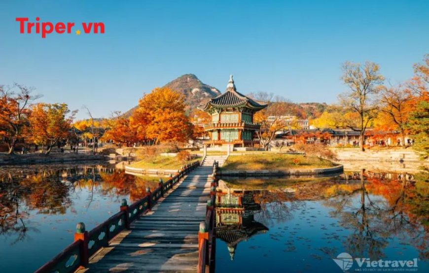 Hàn Quốc: Seoul – Nami – Vườn Morning Calm – Everland, Cung điện Hoàng Gia Gyeongbok