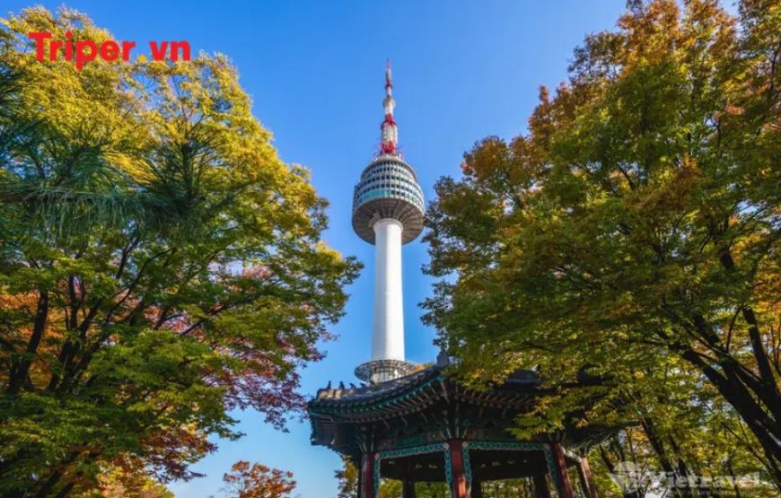 Hàn Quốc: Seoul – Nami – Vườn Morning Calm – Everland, Cung điện Hoàng Gia Gyeongbok
