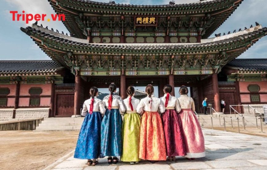 Hàn Quốc: Seoul – Nami – Vườn Morning Calm – Everland, Cung điện Hoàng Gia Gyeongbok