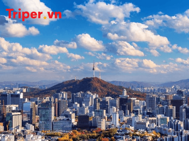 Hàn Quốc và câu chuyện diện tích
