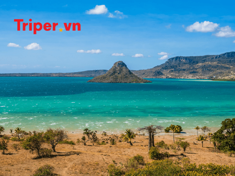 Hành Trình Đánh Thức Giác Quan Tại Madagascar