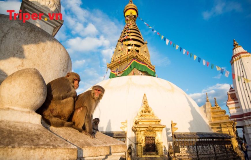 Hành Trình Khám Phá Vương Quốc Nepal Kathmandu Chitwan – Pokhara