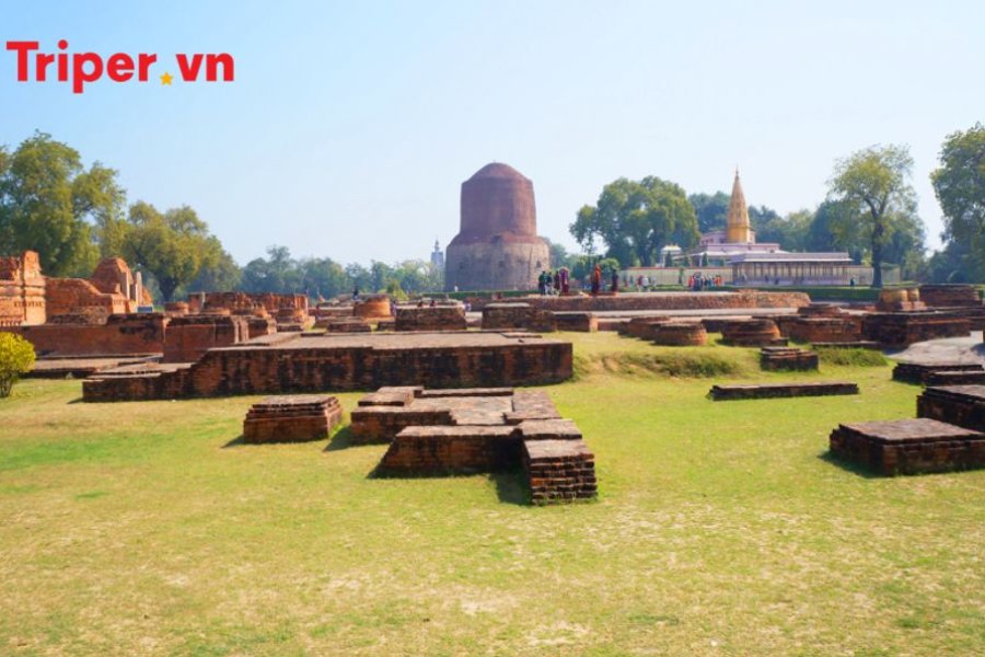 Hành Trình Về Cội Nguồn Phật Giáo Ấn Độ - Nepal