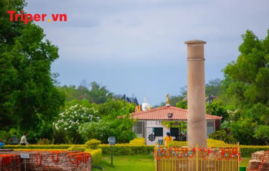 Hành Trình Về Cội Nguồn Phật Giáo Ấn Độ – Nepal