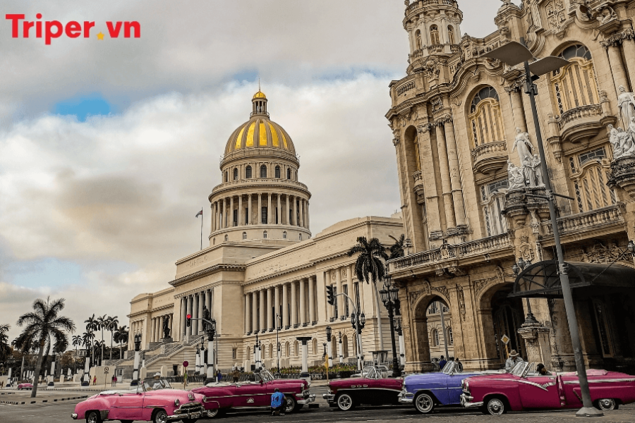 Khám Phá Vùng Đất Hoang Dã Kenya – Zimbabwe – Zambia | Chương Trình Mới