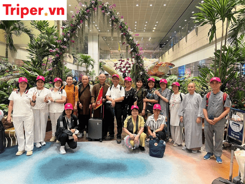 Hoa Sen – Đối Tác Tin Cậy Của Doanh Nghiệp