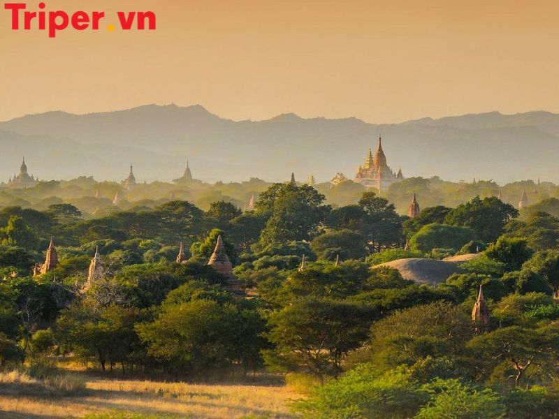 Hoạt động trải nghiệm & ẩm thực