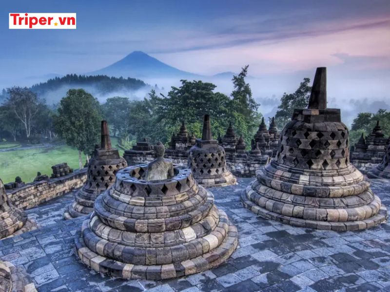 Hoạt động trải nghiệm & ẩm thực đặc sắc