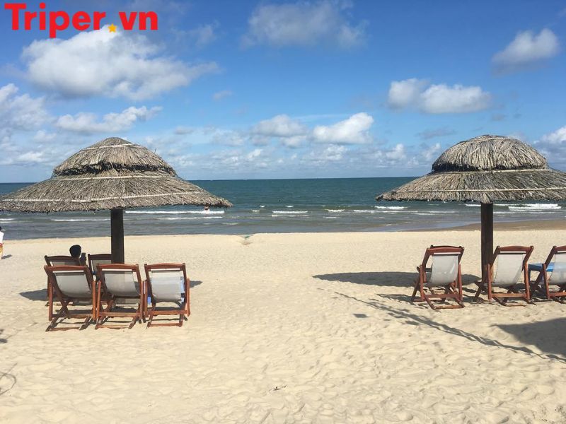Hoạt động trải nghiệm & ẩm thực