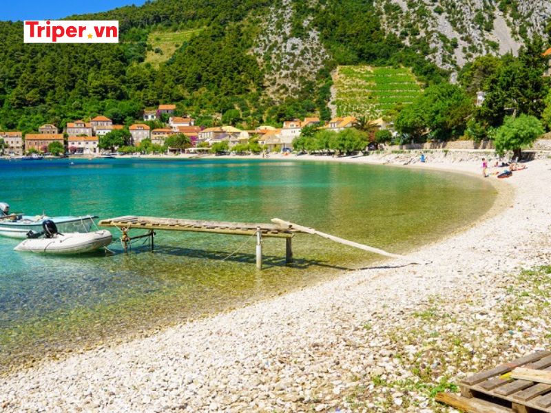 Hoạt động trải nghiệm và ẩm thực đặc sắc