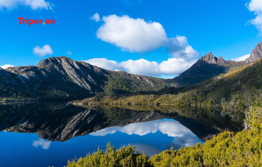 Khám Phá Đảo Tasmania: Melbourne – Tasmania – Launceston- Hobart