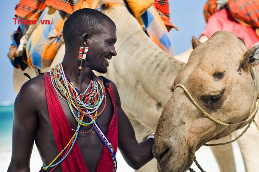 Khám Phá Vùng Đất Hoang Dã Kenya - Zimbabwe - Zambia Chương Trình Mới