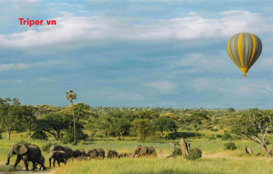 Khám Phá Vùng Đất Hoang Dã Kenya – Zimbabwe – Zambia | Chương Trình Mới