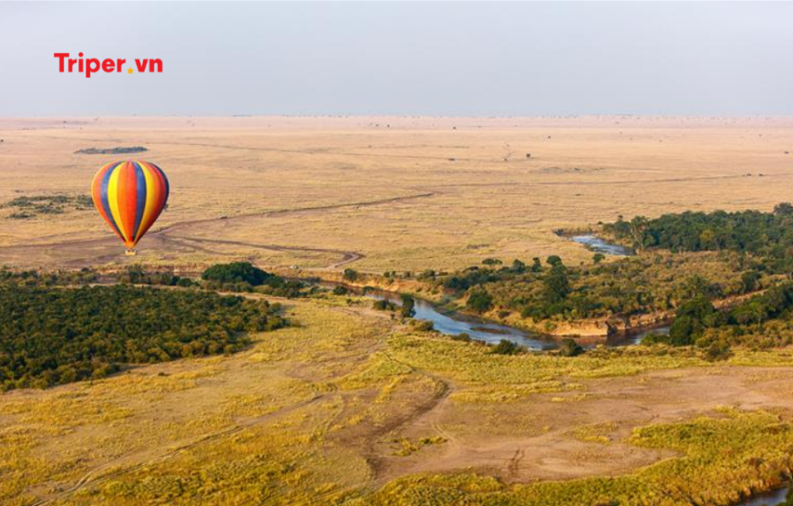 Khám Phá Vùng Đất Hoang Dã Kenya – Zimbabwe – Zambia | Chương Trình Mới