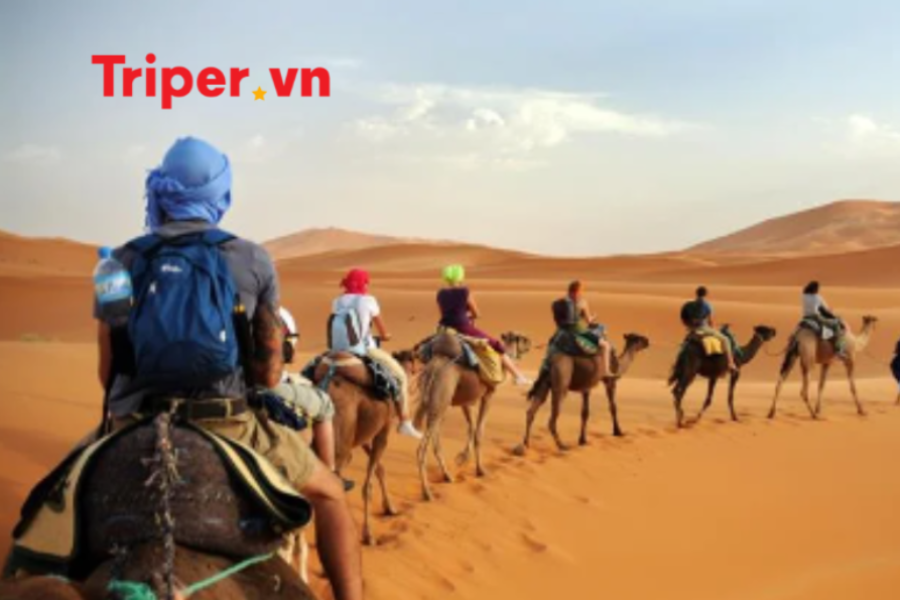 Khám phá Morocco - Trải nghiệm cưỡi lạc đà ở sa mạc Sahara