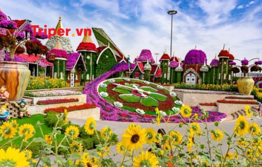 Liên Tuyến Dubai – Sharjah – Ajman – Brunei