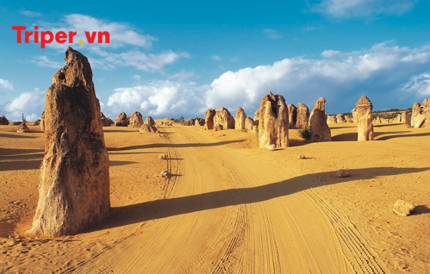 MIỀN TÂY NƯỚC ÚC(PERTH – WAVE ROCK – SWAN VALLEY – PINNACLES)