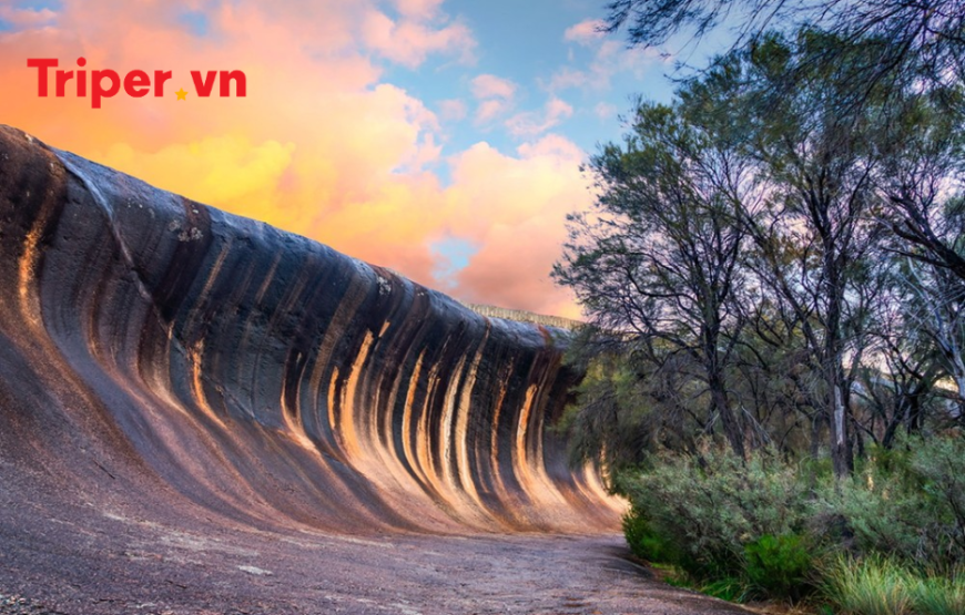 MIỀN TÂY NƯỚC ÚC(PERTH – WAVE ROCK – SWAN VALLEY – PINNACLES)