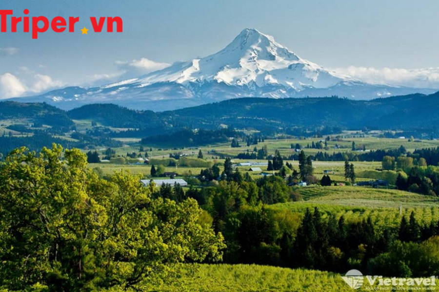 Mỹ Alaska (Seattle - Leavenworth - Anchorage - Sông băng Matanuska)