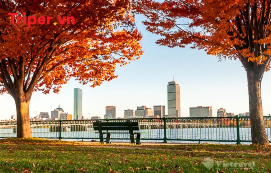 Mỹ: Chicago – Buffalo – Niagara Falls – Vermont – Portland – Boston