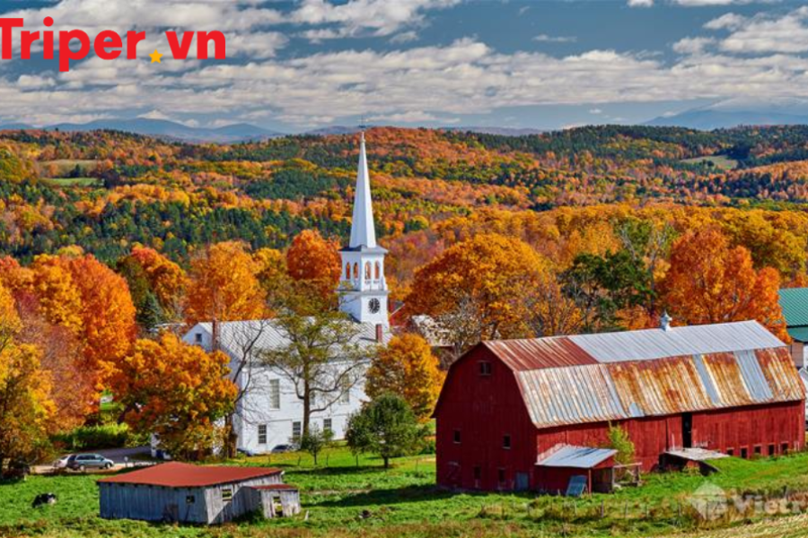 Mỹ Chicago - Buffalo - Niagara Falls - Vermont - Portland - Boston (Chiêm ngưỡng khung cảnh huyền ảo của thác Niagara về đêm)