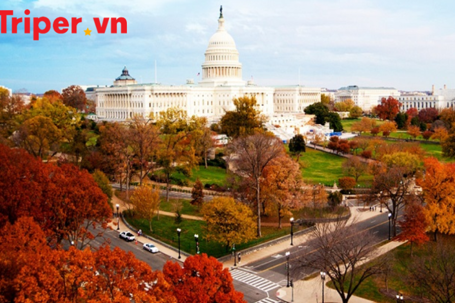 Mỹ New York - US Open 2025 (Dịch vụ tại điểm đến)
