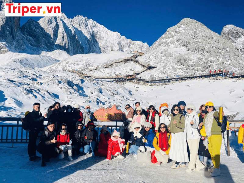 Ngành nghề kinh doanh và thị trường hoạt động