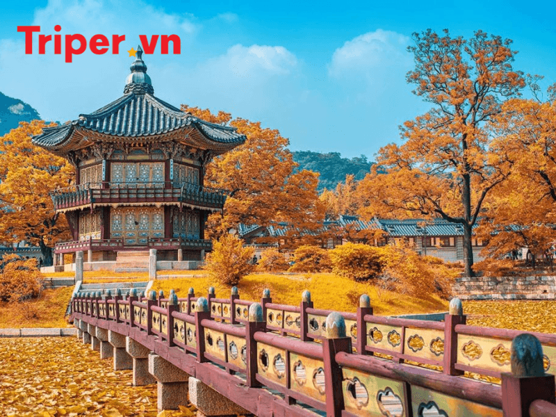 Nguồn gốc và ý nghĩa lịch sử của Đại Hàn Dân Quốc