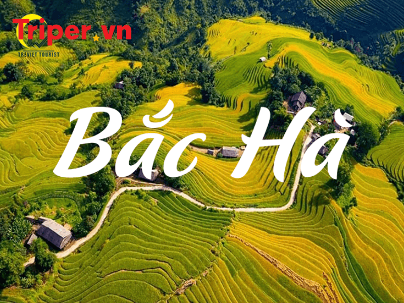 Những điểm đến không thể bỏ lỡ khi du lịch Bắc Hà