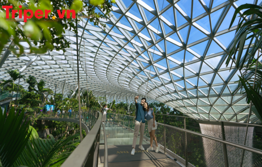 Singapore (Một ngày tự do, Tặng vé Flower Dome )