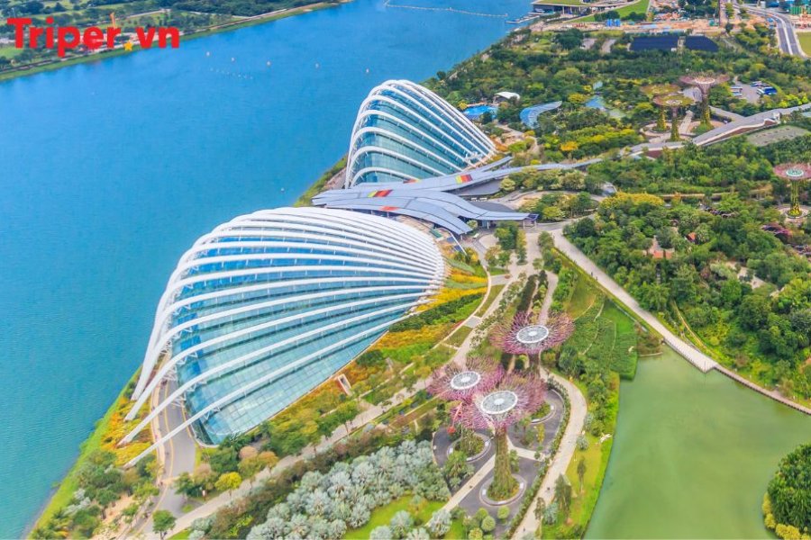 Singapore (Một Ngày Tự Do, Tặng Vé Flower Dome )