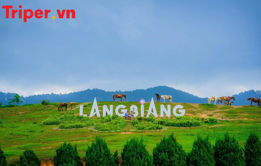 TOUR DU LỊCH ĐÀ LẠT 3 NGÀY 2 ĐÊM CHO GIA ĐÌNH CHẤT LƯỢNG