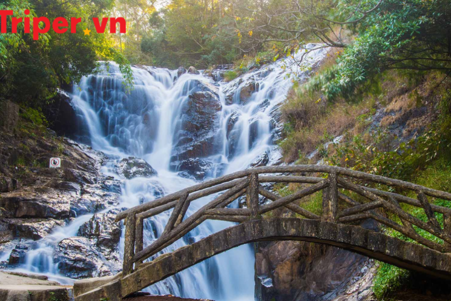 TOUR DU LỊCH ĐÀ LẠT 3 NGÀY 2 ĐÊM CHO GIA ĐÌNH CHẤT LƯỢNG