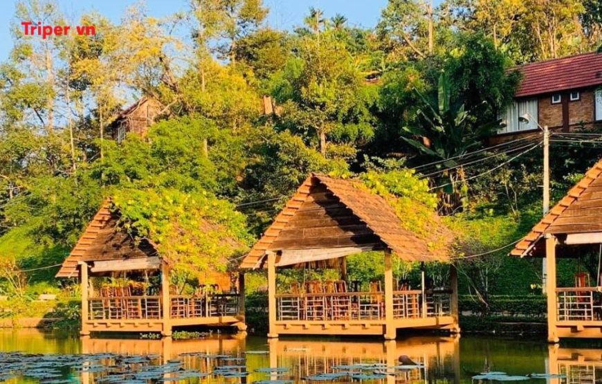 TOUR DU LỊCH TP. HCM – TÀ ĐÙNG 5 NGÀY 4 ĐÊM