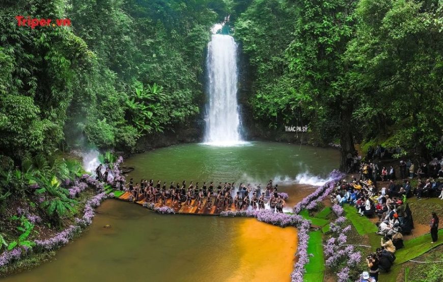 TOUR DU LỊCH TP. HCM – TÀ ĐÙNG 5 NGÀY 4 ĐÊM