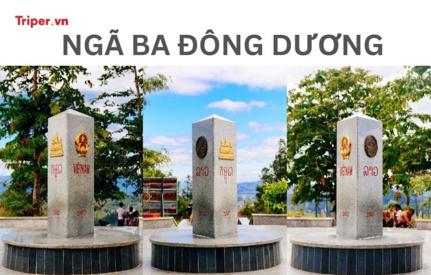 TOUR DU LỊCH TP. HCM – TÀ ĐÙNG 5 NGÀY 4 ĐÊM