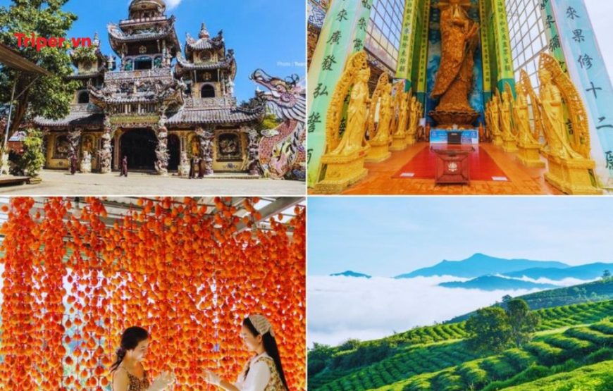 TOUR DU LỊCH TP. HỒ CHÍ MINH – ĐÀ LẠT 5 NGÀY 4 ĐÊM